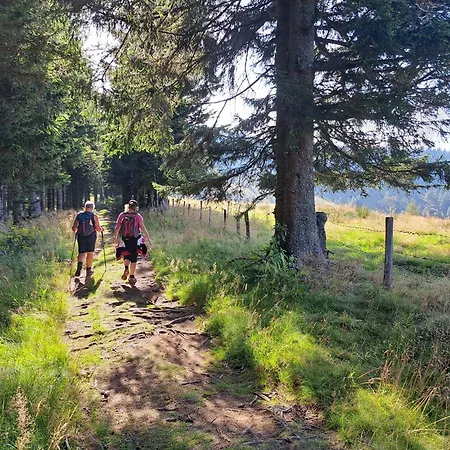 Beates Daham 丰斯多夫